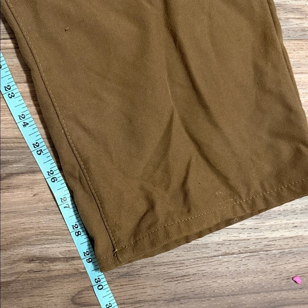 Guide Series Brush Guard Pants Briar Mens Sz. 30x30 Brown Field Hunting Work